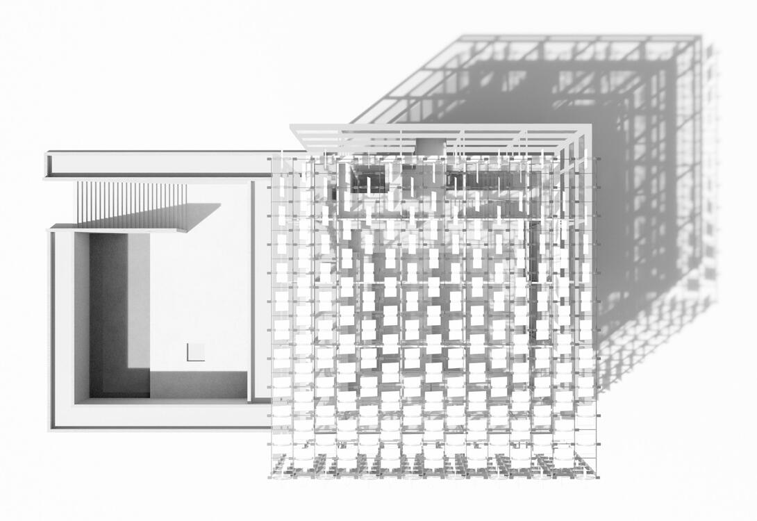 MUseum Installation